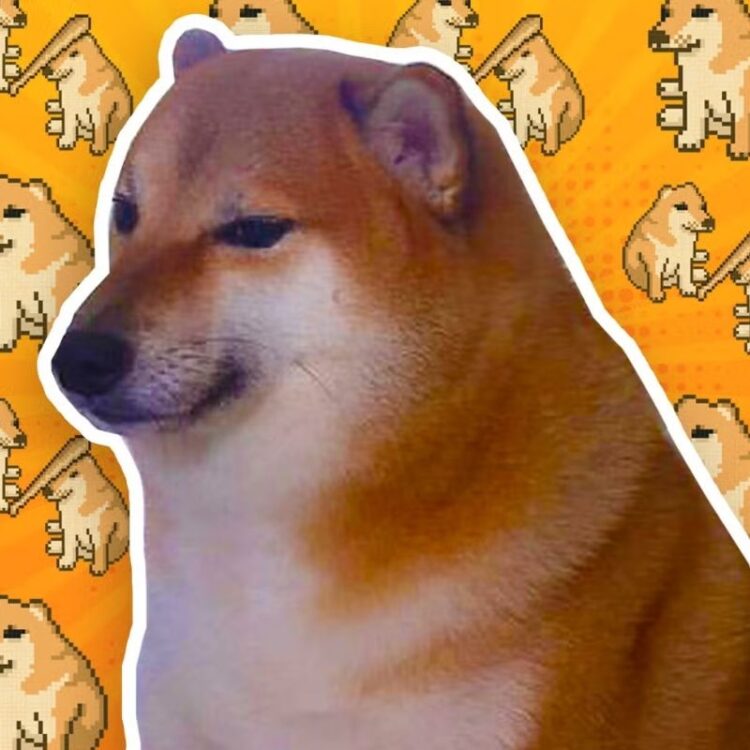 Khám phá nguồn gốc các meme nổi tiếng bậc nhất năm 2025