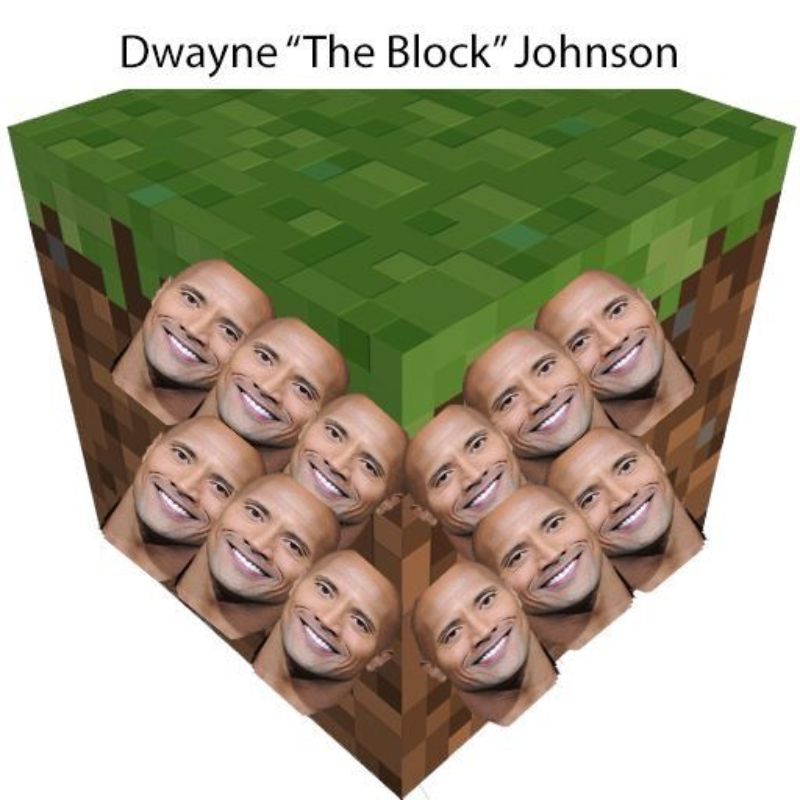 69+ Ảnh The Rock meme hài hước khiến bạn cười không nhặt được mồm 20 Meme The Rock trong trò chơi RoBlox