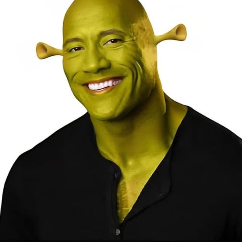 69+ Ảnh The Rock meme hài hước khiến bạn cười không nhặt được mồm 22 Ảnh meme The Rock Shrek