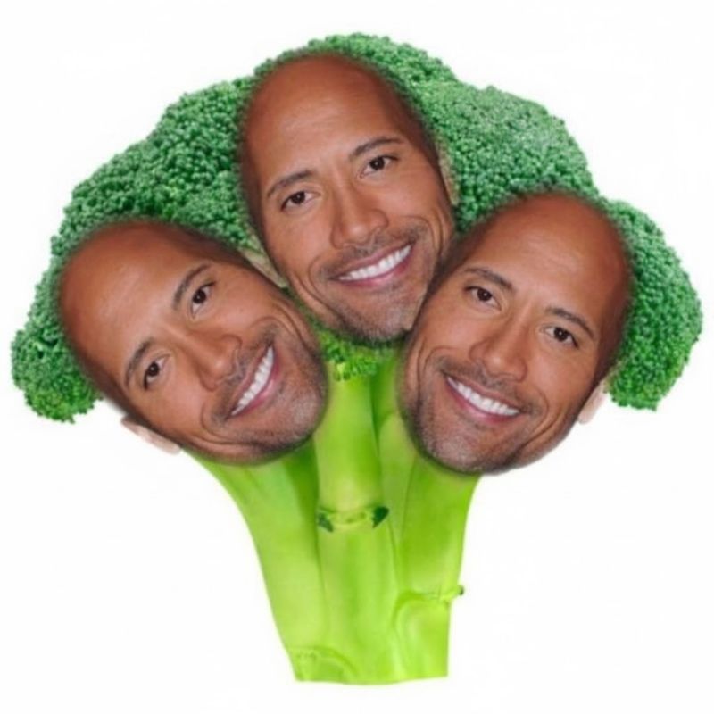 69+ Ảnh The Rock meme hài hước khiến bạn cười không nhặt được mồm 24 Ảnh chế meme The Rock hài hước