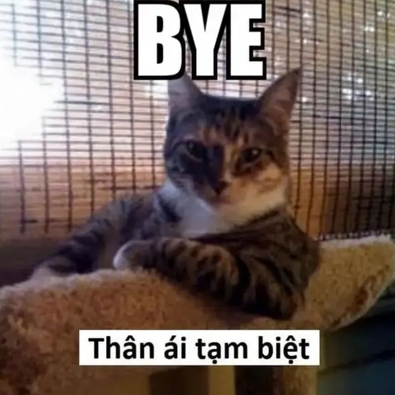 Vai trò của meme trong giao tiếp online: Ngôn ngữ mới của thế hệ 16 vai tro cua meme trong giao tiep online 15