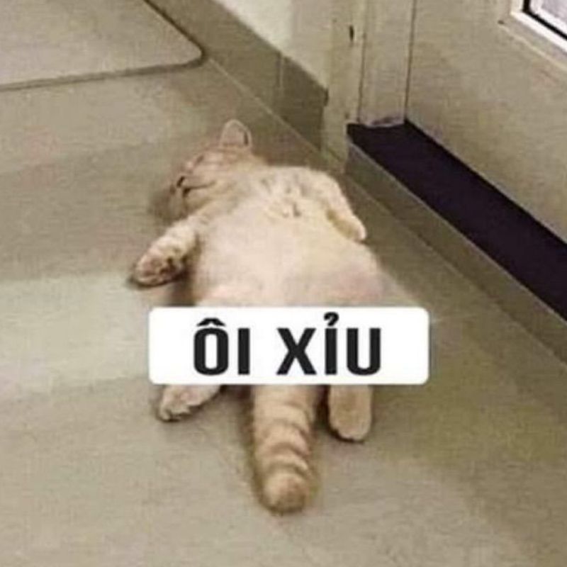 Vai trò của meme trong giao tiếp online: Ngôn ngữ mới của thế hệ 23 meme "ôi xỉu"