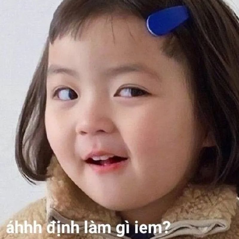 Vai trò của meme trong giao tiếp online: Ngôn ngữ mới của thế hệ 27 vai tro cua meme trong giao tiep online 25