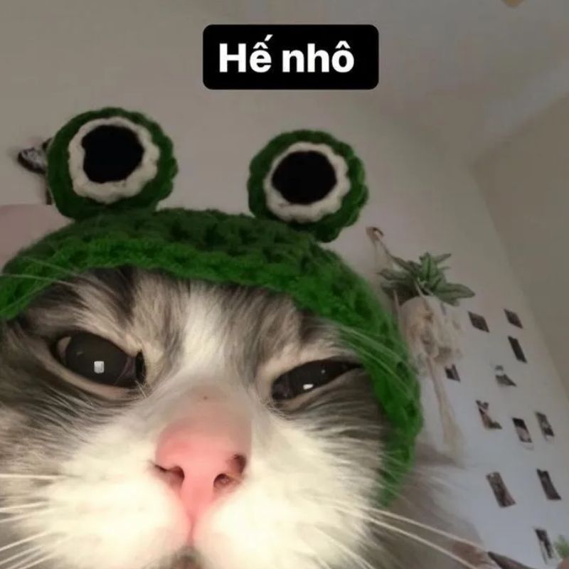 Vai trò của meme trong giao tiếp online: Ngôn ngữ mới của thế hệ 26 vai tro cua meme trong giao tiep online 26