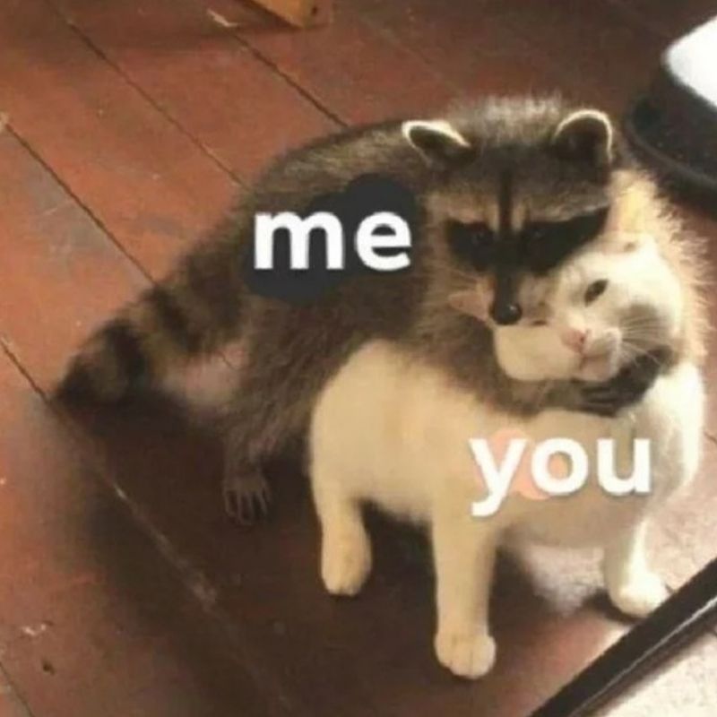 Vai trò của meme trong giao tiếp online: Ngôn ngữ mới của thế hệ 4 meme mèo và thú túi