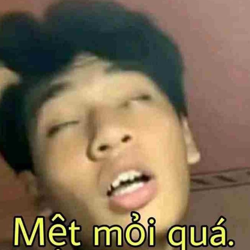 Vai trò của meme trong giao tiếp online: Ngôn ngữ mới của thế hệ 8 meme mệt mỏi