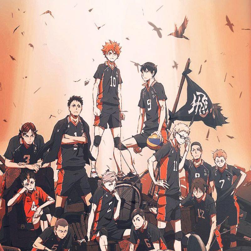 89+ Ảnh anime bóng chuyền đẹp, ngầu và chất lượng cao 21 ảnh anime đội bóng chuyền ngầu