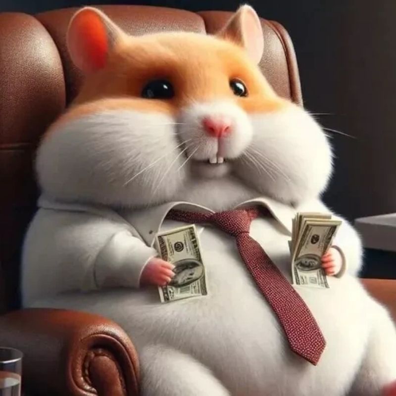 169+ Hamster Meme ngộ nghĩnh, đáng yêu và siêu hài hước 19 hamster meme cực buồn cười