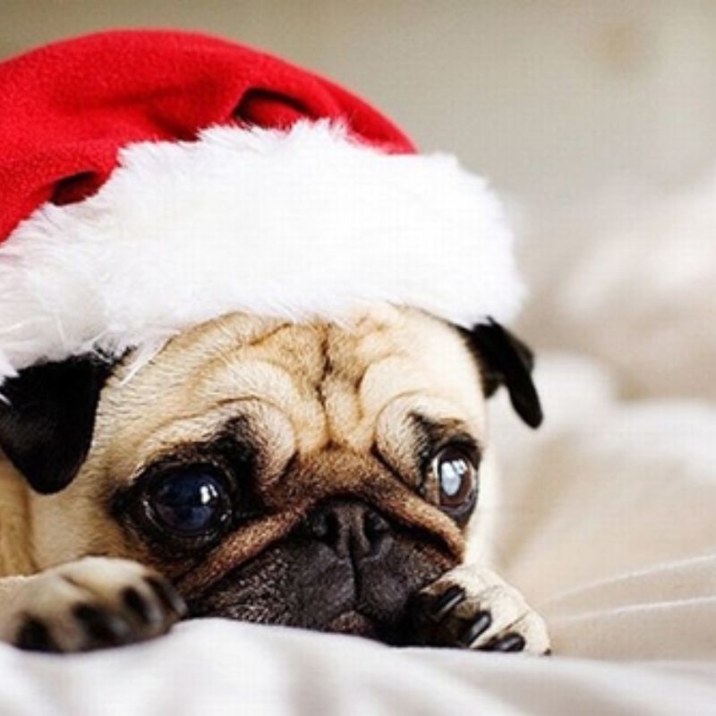 99+ mẫu hình nền Giáng Sinh lung linh, đáng yêu cho mùa lễ hội 16 hình nền giáng sinh