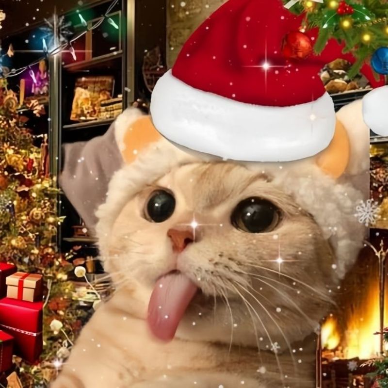 99+ mẫu hình nền Giáng Sinh lung linh, đáng yêu cho mùa lễ hội 22 hình nền giáng sinh