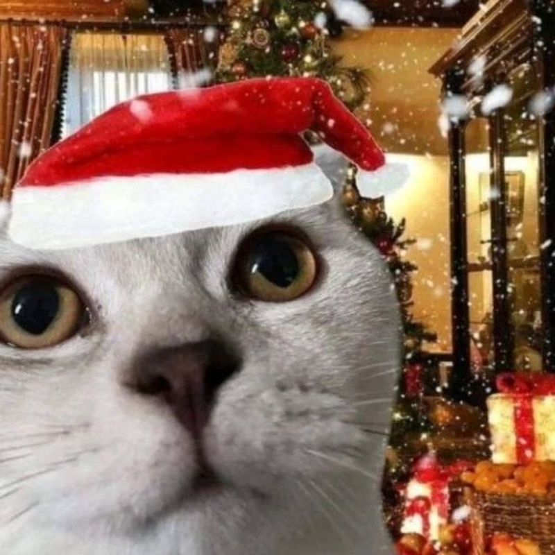 99+ mẫu hình nền Giáng Sinh lung linh, đáng yêu cho mùa lễ hội 23 hình nền giáng sinh