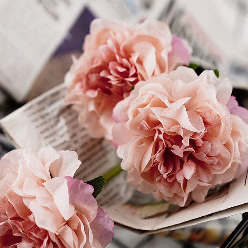 Top 666+ hình nền hoa đẹp, sắc nét Full HD cho điện thoại và PC 25 ảnh nền hoa mẫu đơn cực đẹp