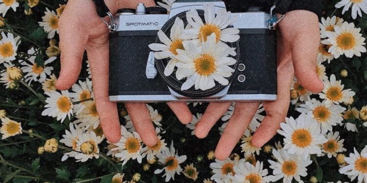 Top 666+ hình nền hoa đẹp, sắc nét Full HD cho điện thoại và PC 1 Top 666+ hình nền hoa đẹp, sắc nét Full HD cho điện thoại và PC