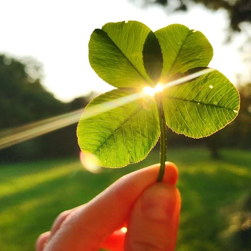 Tải 199+ hình nền may mắn, tài lộc Full HD cho điện thoại và PC 98 hình nền may mắn cho học tập