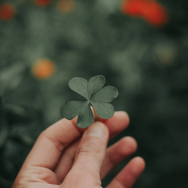 Tải 199+ hình nền may mắn, tài lộc Full HD cho điện thoại và PC 99 hình nền may mắn cho học tập thi cử