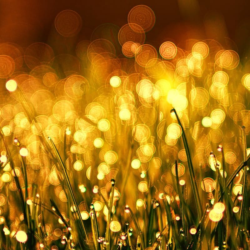 Tải 199+ hình nền may mắn, tài lộc Full HD cho điện thoại và PC 63 hình nền may mắn cho mệnh kim đẹp