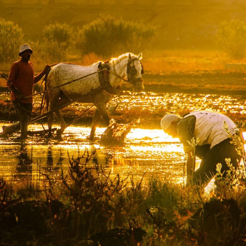 Tải 199+ hình nền may mắn, tài lộc Full HD cho điện thoại và PC 74 hình nền may mắn cho mệnh thổ sắc nét