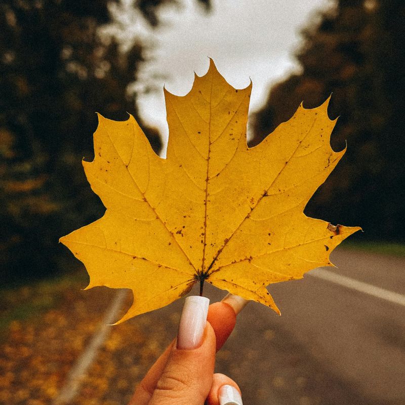 Tải 199+ hình nền may mắn, tài lộc Full HD cho điện thoại và PC 75 hình nền may mắn cho mệnh thổ đẹp