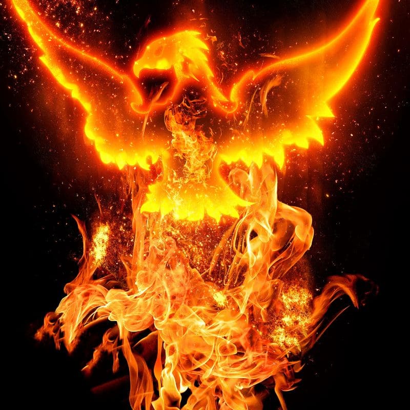 Tải 199+ hình nền may mắn, tài lộc Full HD cho điện thoại và PC 78 hình nền may mắn cho mệnh hỏa chất lượng