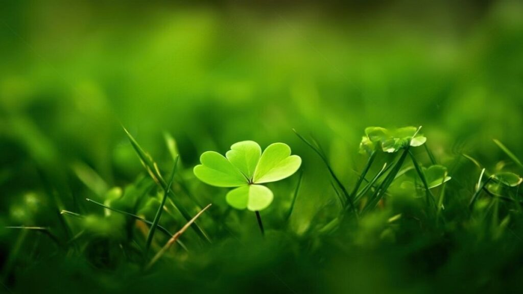 Tải 199+ hình nền may mắn, tài lộc Full HD cho điện thoại và PC 114 ảnh nền may mắn cho desktop đẹp