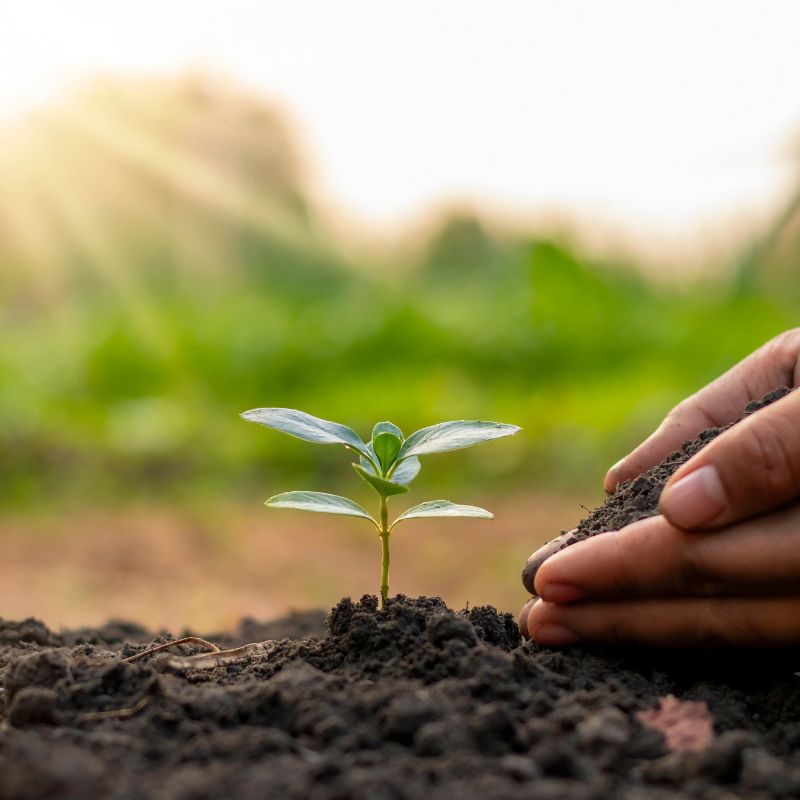 Tải 199+ hình nền may mắn, tài lộc Full HD cho điện thoại và PC 85 hình nền may mắn cho mệnh tài lộc