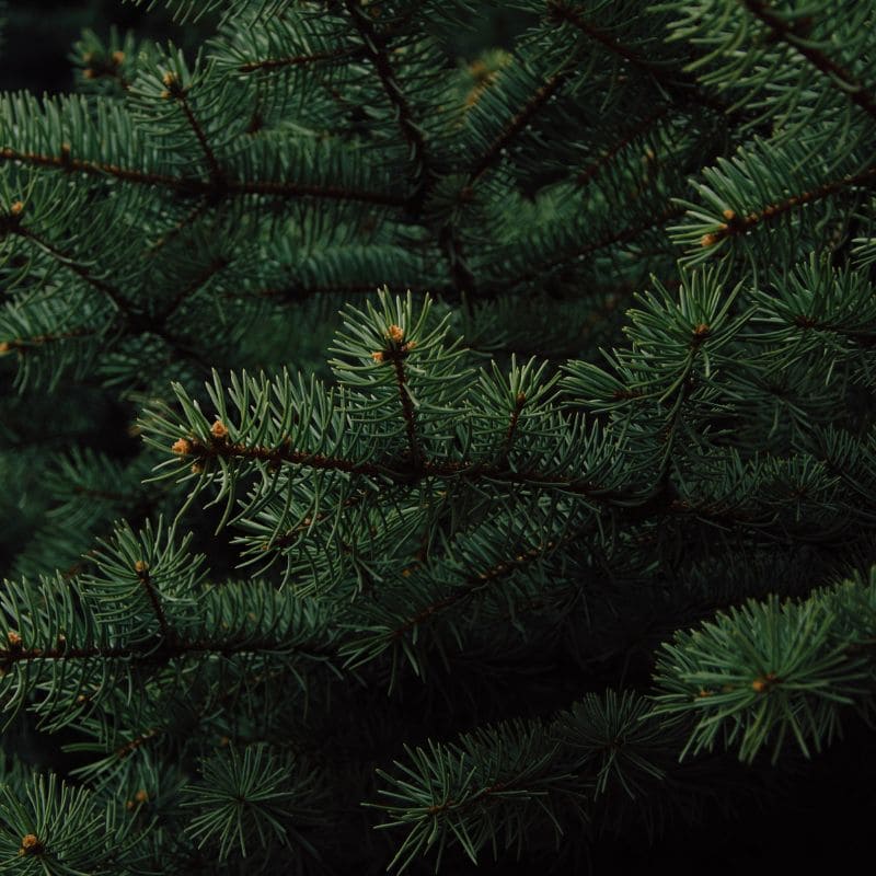 Tải 199+ hình nền may mắn, tài lộc Full HD cho điện thoại và PC 86 hình nền may mắn cho mệnh sắc nét