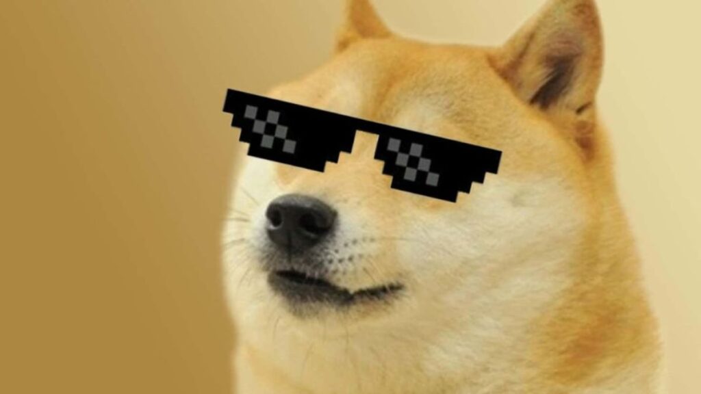 Hình nền meme chú chó đeo kính đen