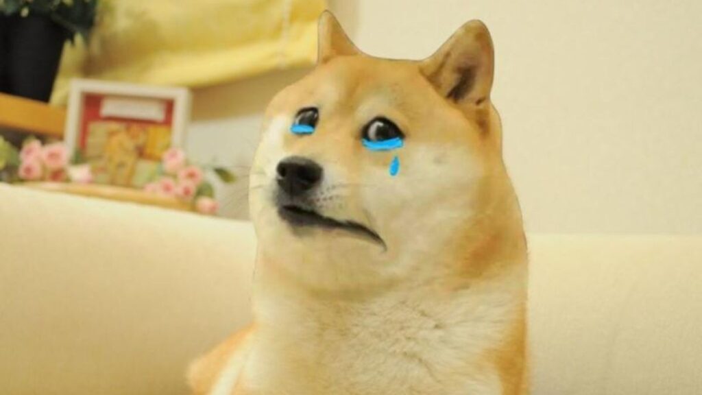 +100 Hình nền meme hài hước, dễ thương và bá đạo nhất hiện nay 5 Hình nền meme chú chó khóc