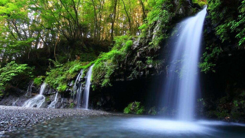 99+ hình nền thu hút tài lộc mệnh Mộc đẹp, gia tăng vượng khí 8 hình nền thu hút tài lộc mệnh Mộc