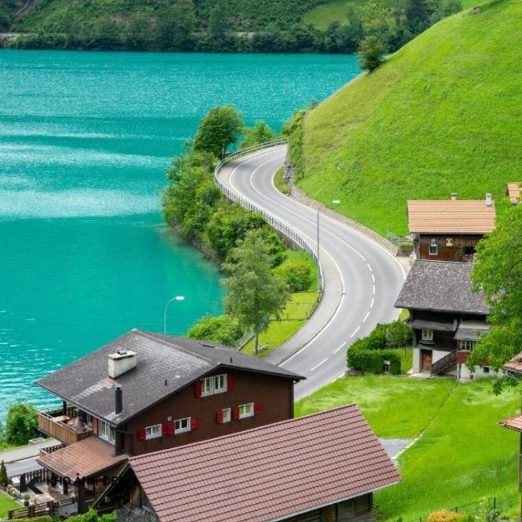 Top 99+ hình nền thu hút tài lộc mệnh Mộc, gia tăng vượng khí 