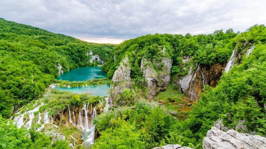 99+ hình nền thu hút tài lộc mệnh Mộc đẹp, gia tăng vượng khí 9 hình nền thu hút tài lộc mệnh Mộc