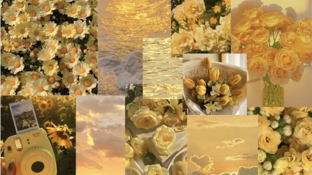 101+ Hình nền thu hút tài lộc mệnh Thổ cho điện thoại, PC 11 Hình nền laptop mainifest tiền bạc, tình duyên cho mệnh Thổ