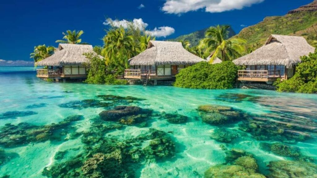 Bộ hình nền thu hút tài lộc mệnh Thủy hút may mắn, tiền bạc 12 hinh nen thu hut tai loc menh thuy 11