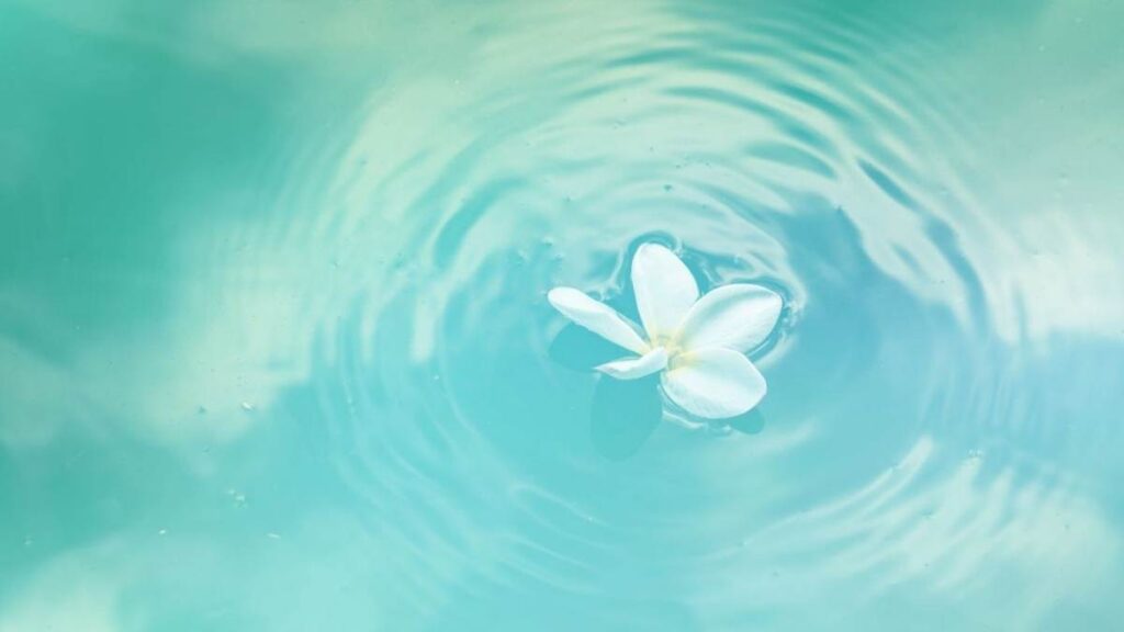 hinh nen thu hut tai loc menh thuy 19