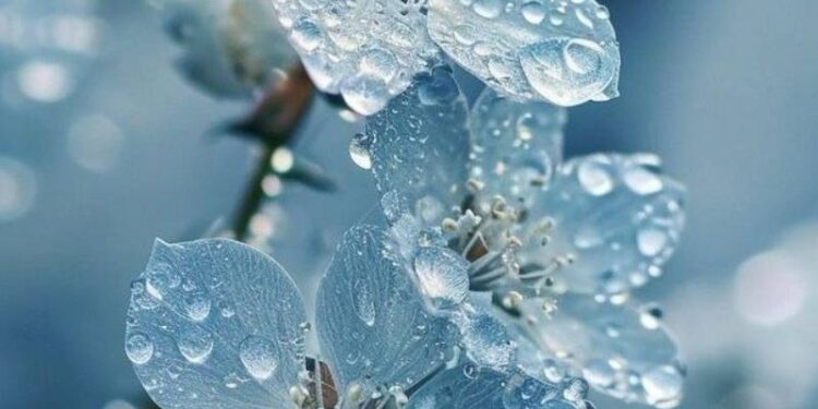 hình nền thu hút tài lộc mệnh Thủy