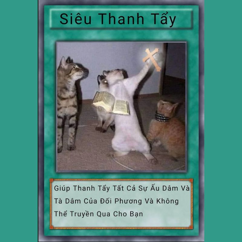 69+ Lá bài meme hài hước, ấn tượng, hot nhất mạng xã hội 2 Lá bài meme thanh tẩy siêu hài