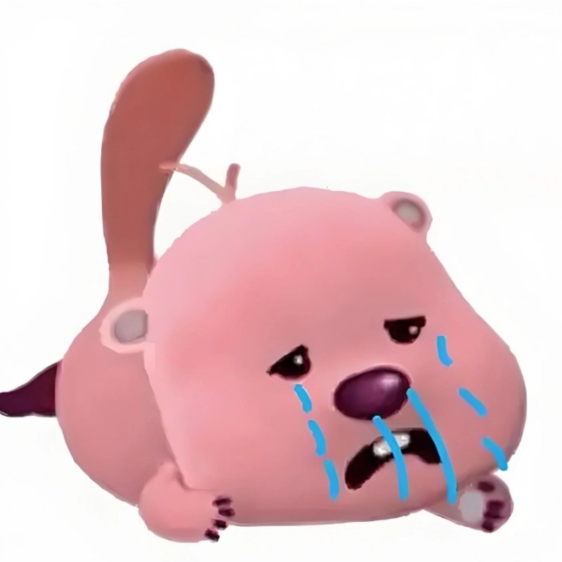 99+ Loopy Meme biểu cảm dễ thương, hài hước, vui nhộn nhất 21 loopy meme