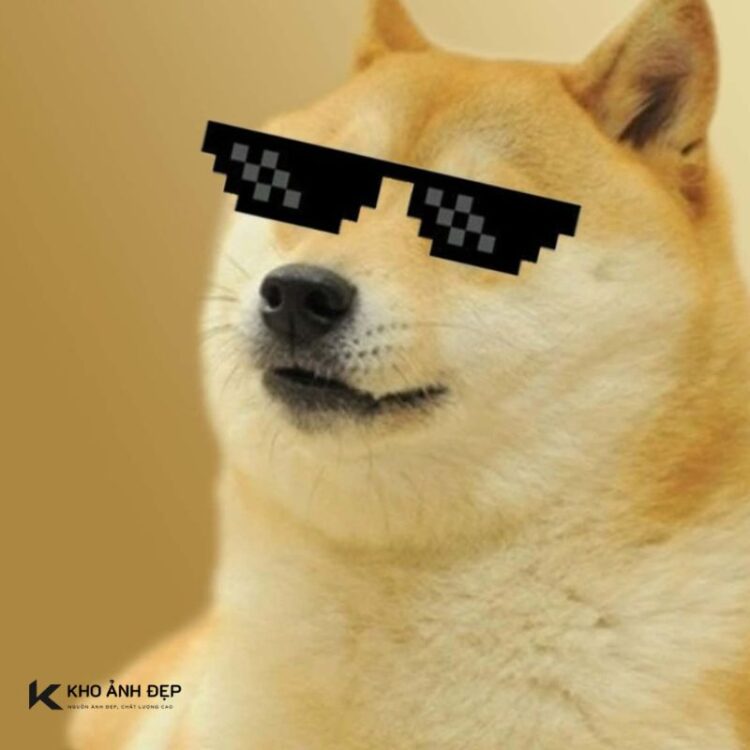 Tổng hợp 99+ Meme Cheems đa dạng biểu cảm hài hước nhất