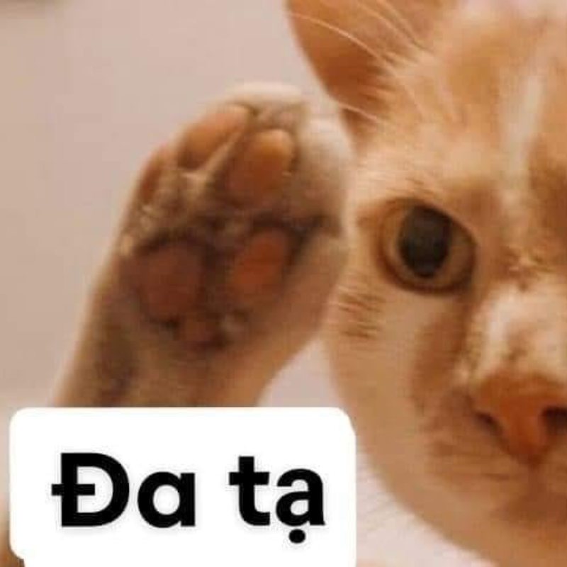 100+ Meme đa tạ hài hước, bá đạo khiến cư dân mạng bật cười 22 meme đa tạ