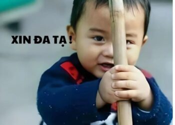 100+ Meme đa tạ hài hước, bá đạo khiến cư dân mạng bật cười 