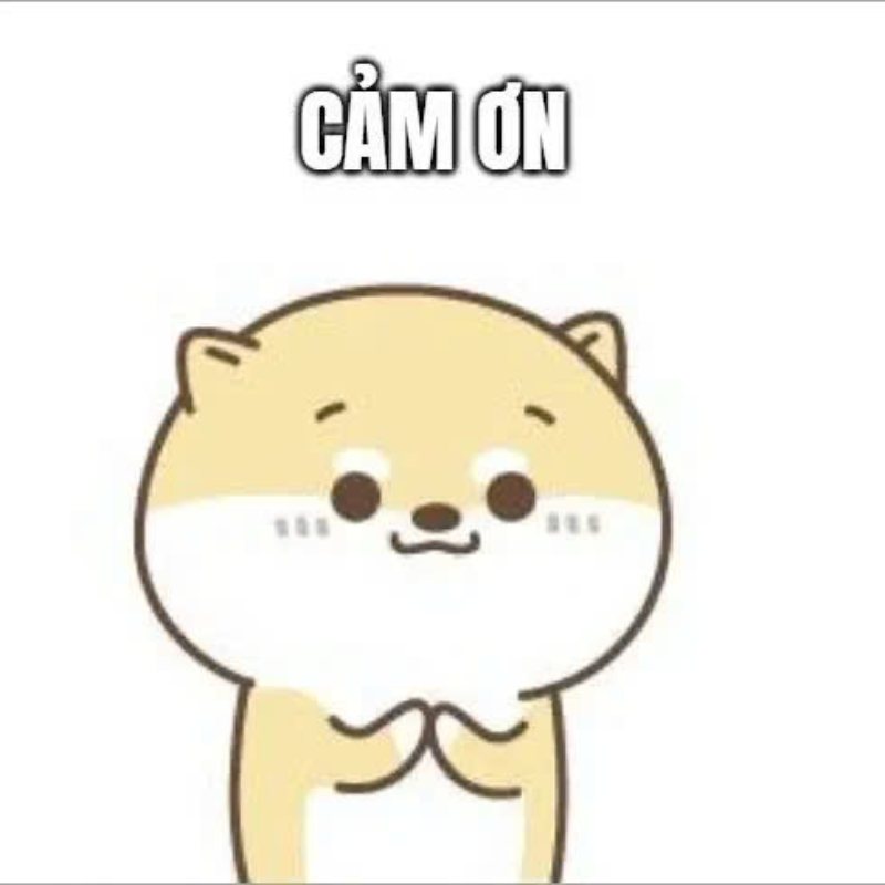 100+ Meme đa tạ hài hước, bá đạo khiến cư dân mạng bật cười 7 Meme chú mèo đa tạ dễ thương