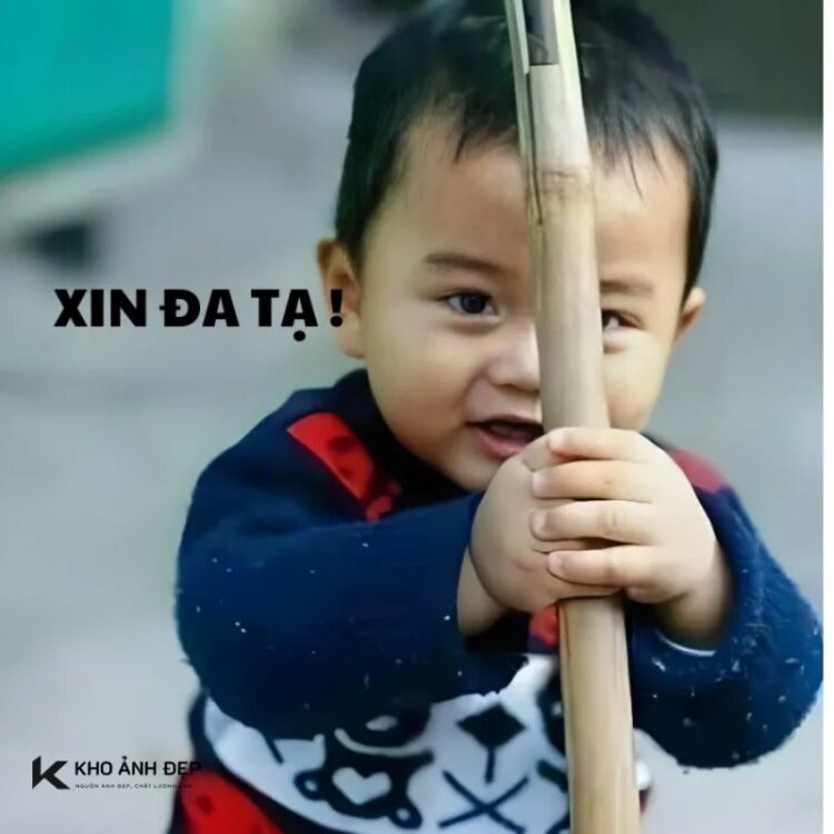 100+ Meme đa tạ hài hước, bá đạo khiến cư dân mạng bật cười 