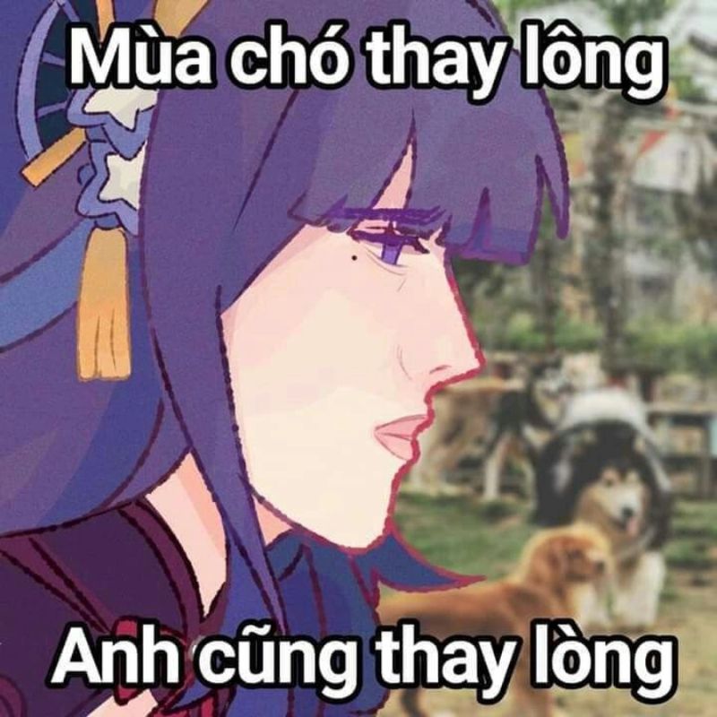 99+ Meme Genshin hài hước, bá đạo khiến fan cười xỉu 5 meme genshin khịa