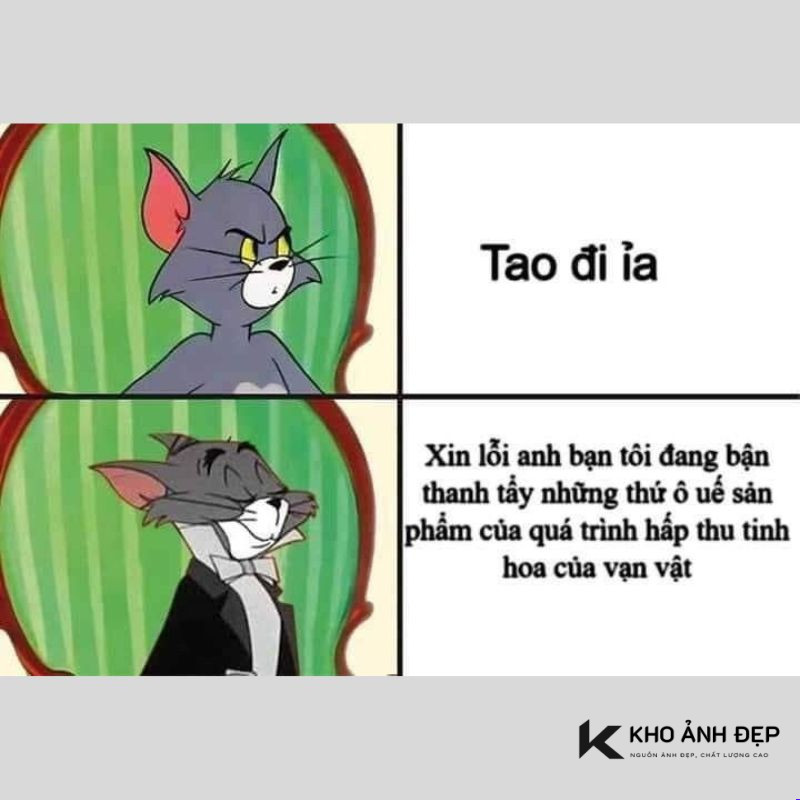 101+ Meme Jerry and Tom troll cực hài hước, cười té ghế