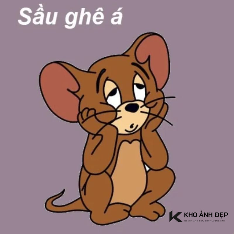 101+ Meme Jerry and Tom troll cực hài hước, cười té ghế