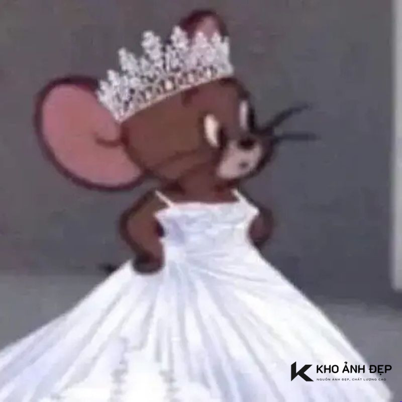 101+ Meme Jerry and Tom troll cực hài hước, cười té ghế