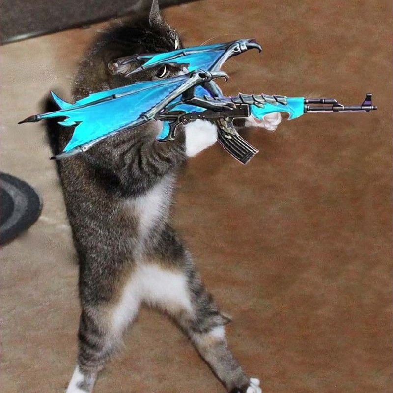 meme mèo cầm súng nhắm bắn