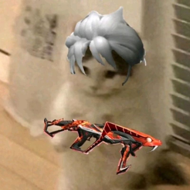 meme mèo cầm súng