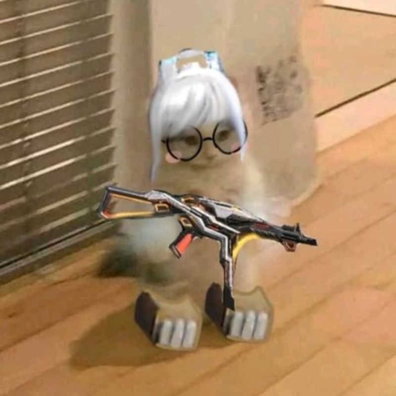 meme mèo cầm súng