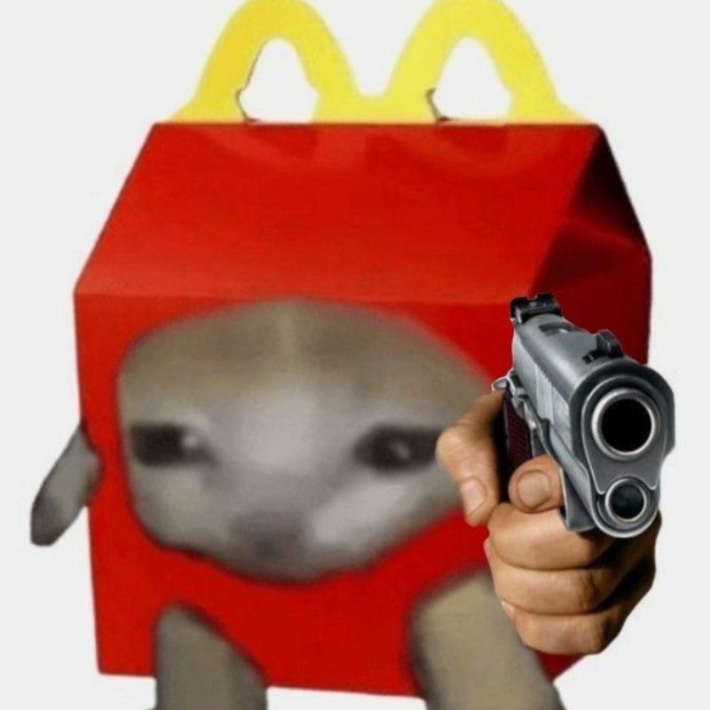 meme mèo cầm súng funny